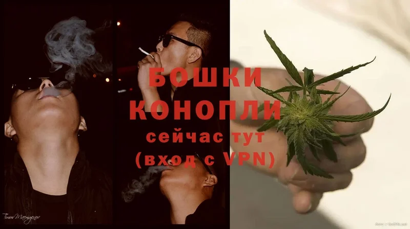 Бошки марихуана SATIVA & INDICA  Новая Ладога 